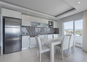 Трехкомнатная квартира с мебелью