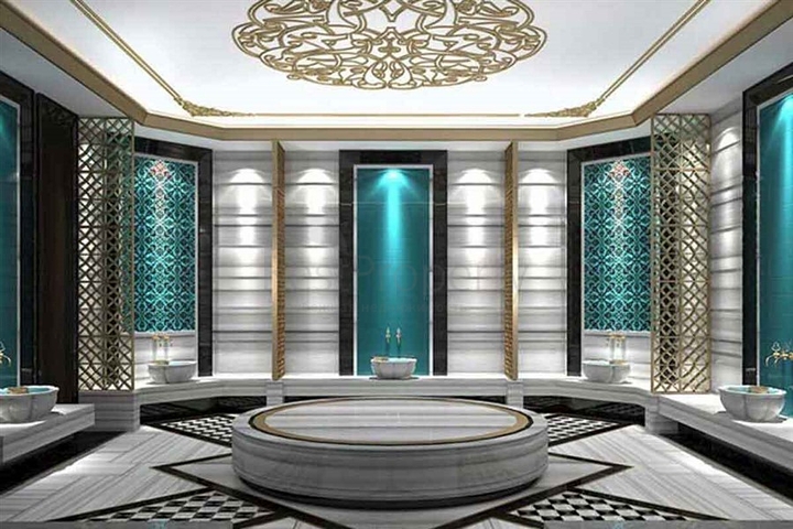 Инвестиционный проект в районе Демирташ