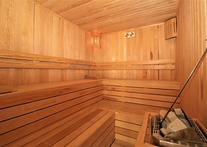 Трехкомнатный пентхаус с мебелью 