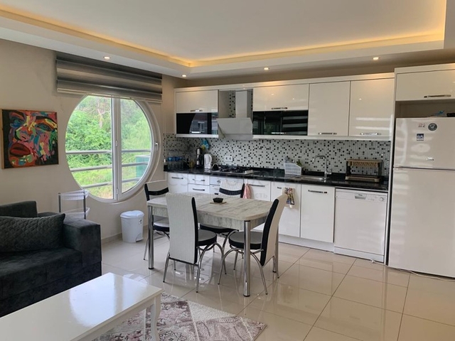 Меблированная квартира планировки 1+1