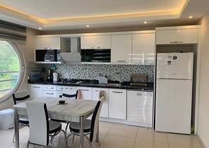 Меблированная квартира планировки 1+1