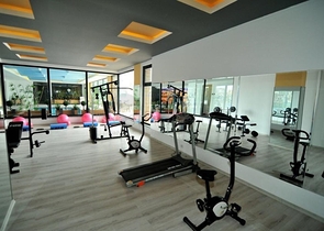 Меблированная квартира планировки 1+1