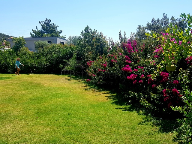 Вилла от собственника по очень доступной цене!