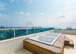 Меблированная квартира планировки 1+1