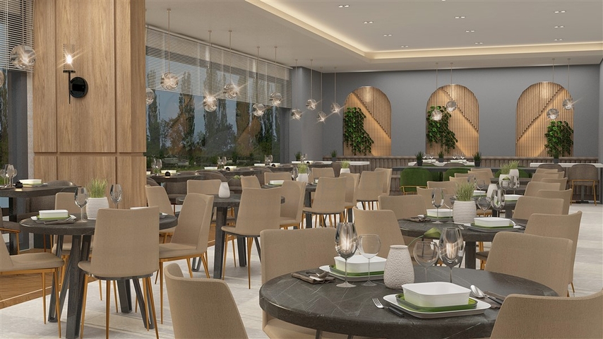 Инвестиционный проект с концепцией пансионата