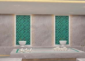 Инвестиционный проект с концепцией пансионата