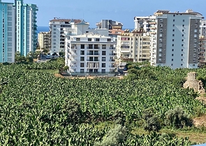 Квартира 1+1 в дизайнерском оформлении 