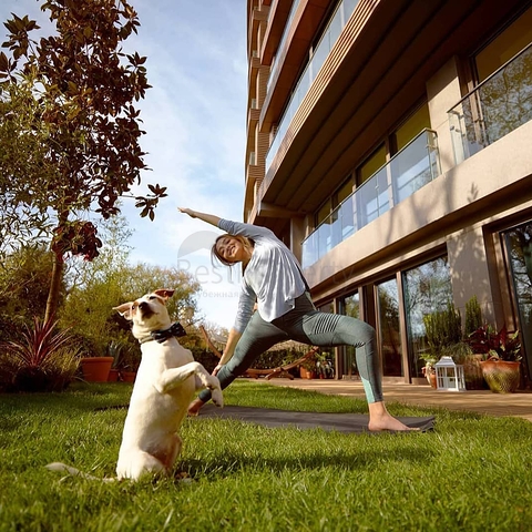 Укромное место для жизни на лоне природы в самом сердце города