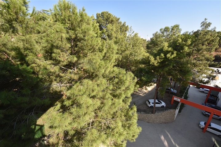 Меблированная квартира планировки 1+1