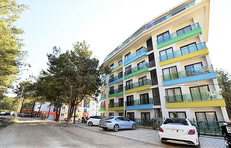 Меблированная квартира планировки 1+1