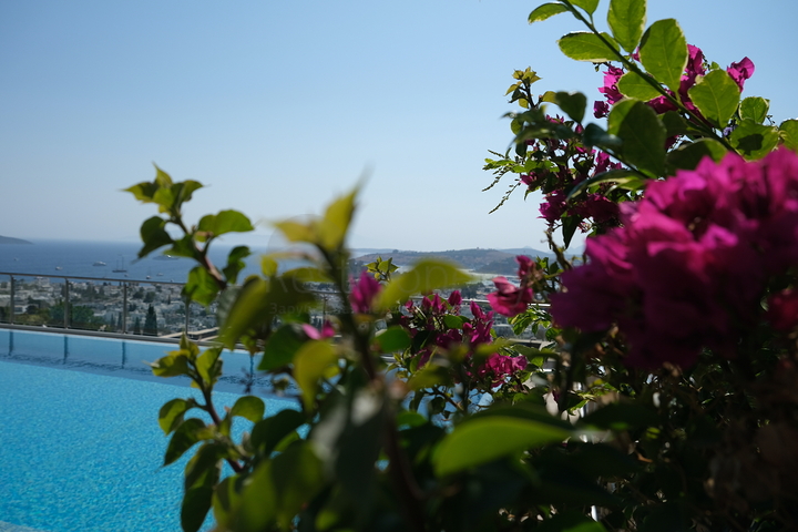 Виллы в обрамлении натурального камня в гармоничном сочетании европейского стиля в самом центре Бодрума