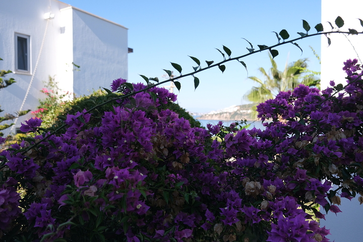 Видовые апартаменты 2+1 с террасой в районе Коюнбаба