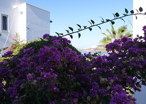 Видовые апартаменты 2+1 с террасой в районе Коюнбаба