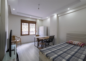 Меблированная трехкомнатная квартира в центре Алании