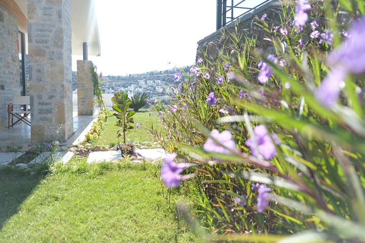 Одноэтажная вилла с террасой и бассейном в уютном комплексе в районе Яалыкавак