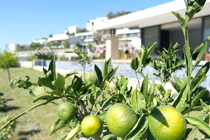 Одноэтажная вилла с террасой и бассейном в уютном комплексе в районе Яалыкавак