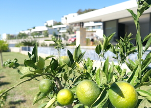 Одноэтажная вилла с террасой и бассейном в уютном комплексе в районе Яалыкавак