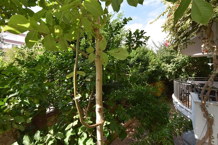 Квартира 3+1 с отдельной кухней в центре Алании