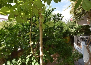 Квартира 3+1 с отдельной кухней в центре Алании