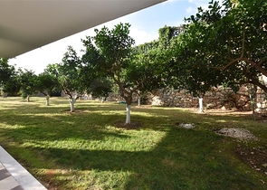 Просторная квартира для комфортной жизни в Джикджилли