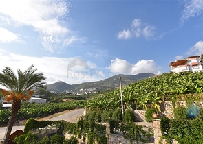 Просторная квартира для комфортной жизни в Джикджилли