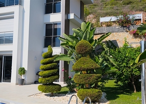 Вилла 4+1 с потрясающими видовыми характеристиками и бассейном