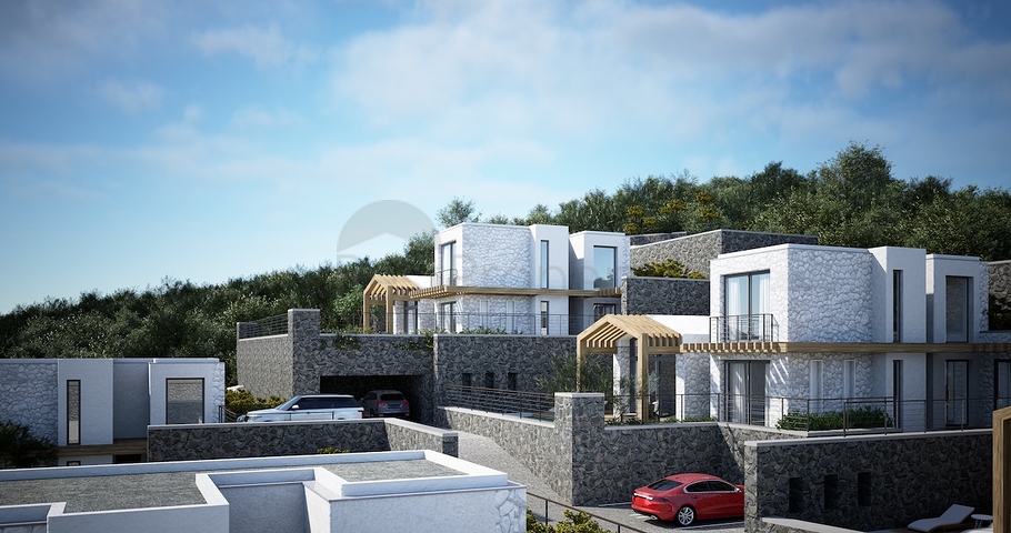 Отдельно стоящие виллы с уникальной архитектурой в районе Гюмюшлюк