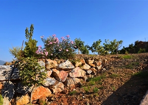 Инвестиционный участок земли в районе Газипаша под строительство