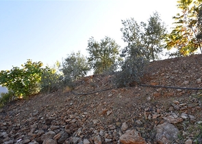 Инвестиционный участок земли в районе Газипаша под строительство