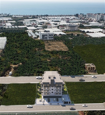 Новый проект для инвестиций в Паялларе