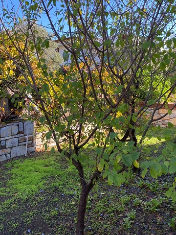 Частная вилла в окружении природы в районе Торба