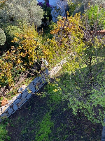 Частная вилла в окружении природы в районе Торба