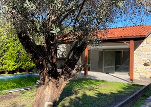 Частная вилла в окружении природы в районе Торба