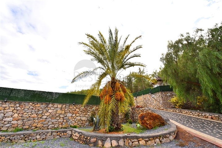 Шикарный дом с собственным бассейном и садом в районе Демирташ