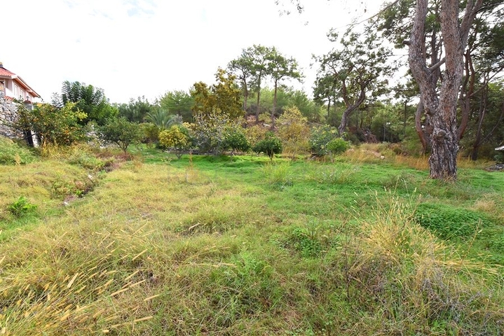Шикарный дом с собственным бассейном и садом в районе Демирташ