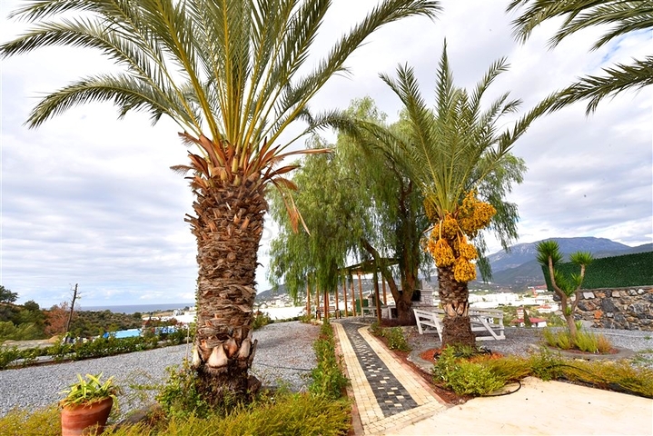 Шикарный дом с собственным бассейном и садом в районе Демирташ