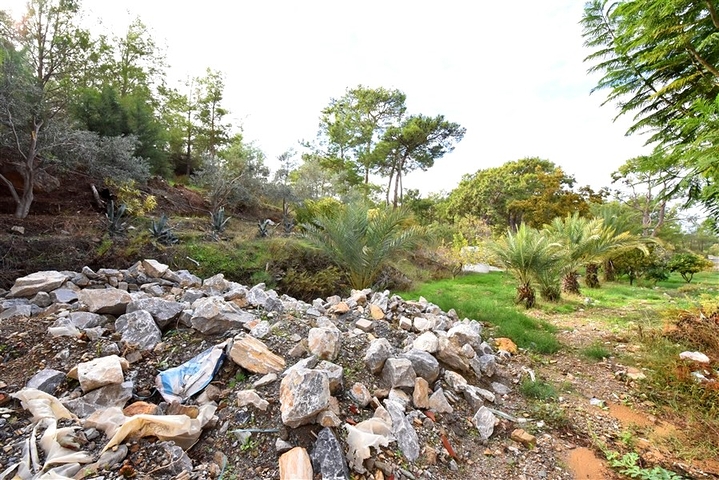 Шикарный дом с собственным бассейном и садом в районе Демирташ