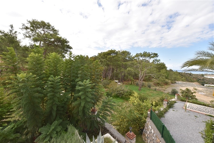 Шикарный дом с собственным бассейном и садом в районе Демирташ