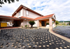 Шикарный дом с собственным бассейном и садом в районе Демирташ