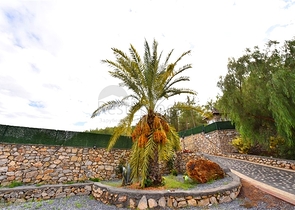 Шикарный дом с собственным бассейном и садом в районе Демирташ