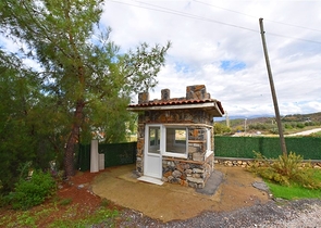 Шикарный дом с собственным бассейном и садом в районе Демирташ