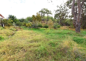 Шикарный дом с собственным бассейном и садом в районе Демирташ
