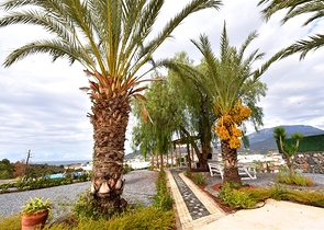 Шикарный дом с собственным бассейном и садом в районе Демирташ