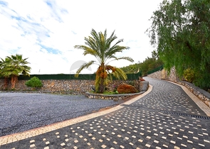 Шикарный дом с собственным бассейном и садом в районе Демирташ