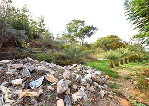 Шикарный дом с собственным бассейном и садом в районе Демирташ