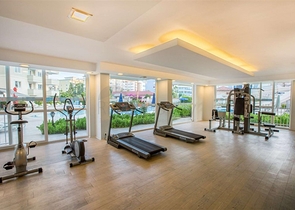 Пентхаус 4+1 в районе Тосмур