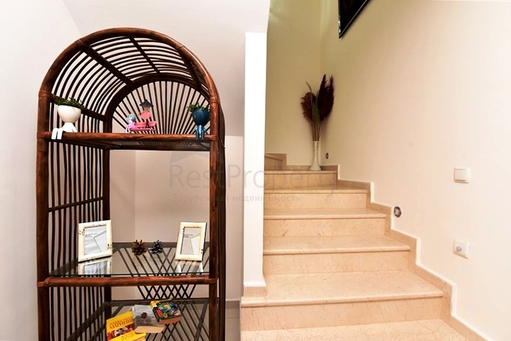 Пентхаус планировкой 2+1 на Клеопатре