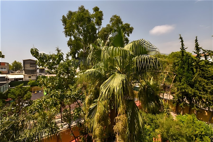 Меблированная квартира 2+1 в комплексе на первой береговой линии в центре Алании