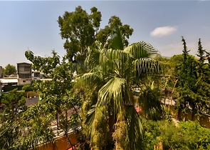 Меблированная квартира 2+1 в комплексе на первой береговой линии в центре Алании