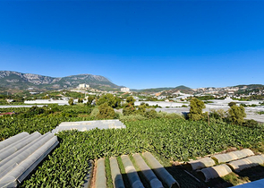 Пентхаус 3+1 в новом комплексе в районе Каргыджак